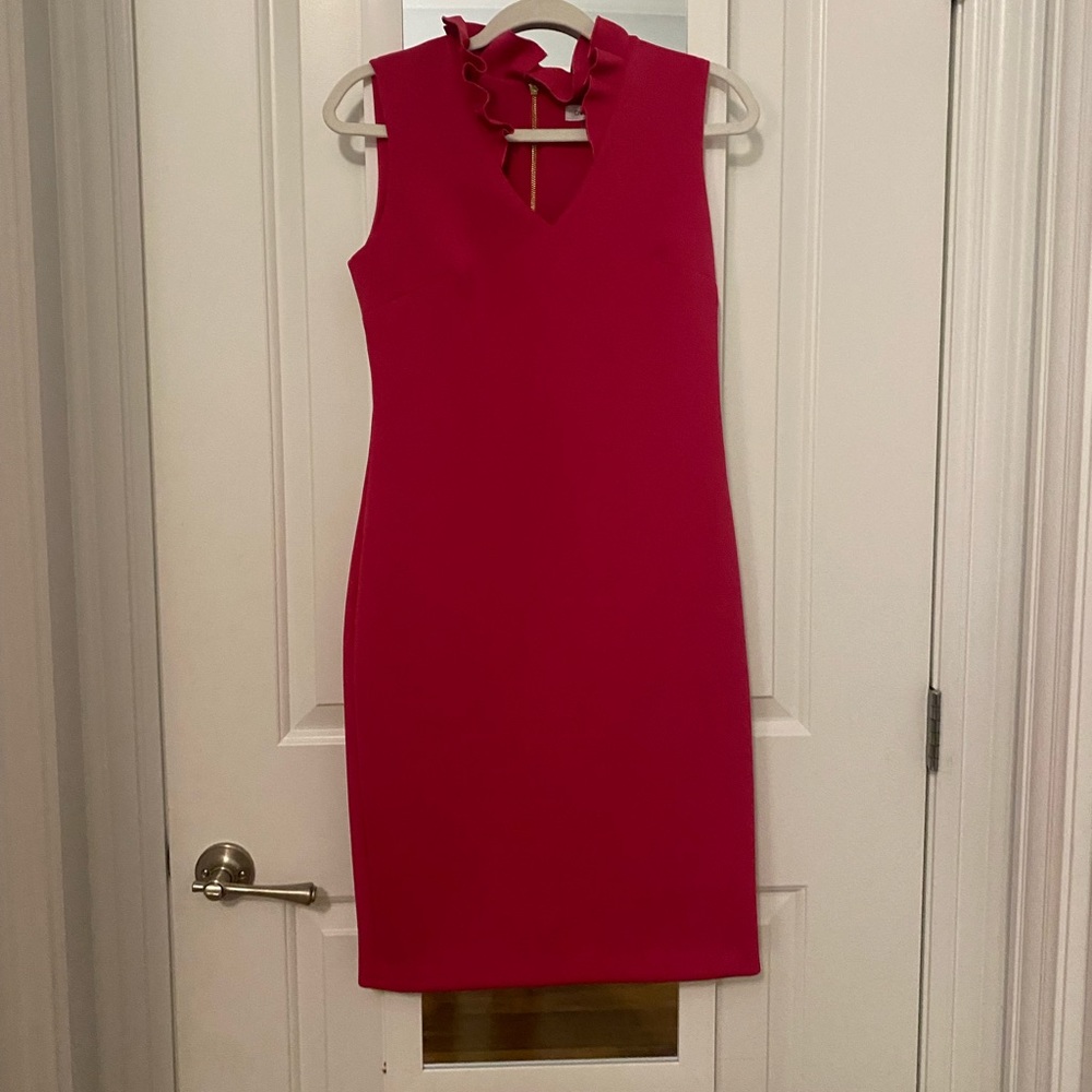 Calvin Klein Hot Pink Dress